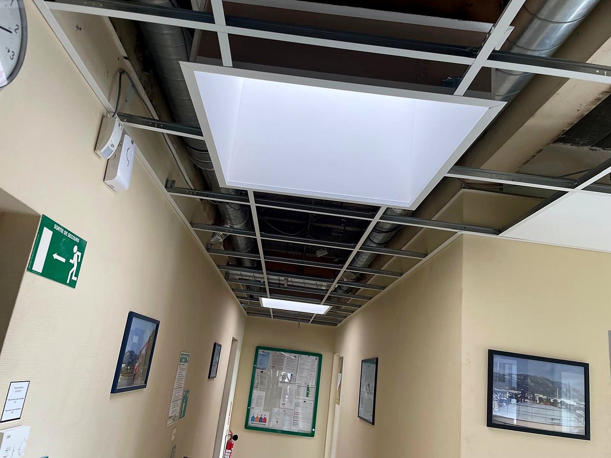 Faux plafond démontable — local professionnel
